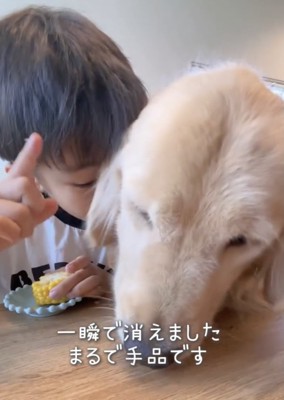 一瞬で完食！