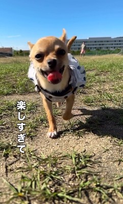 笑顔で走り回る姿にキュン♪