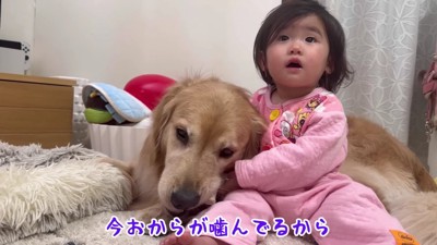 「そっとしてあげてね」