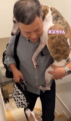 雷が鳴った時のきびちゃん3