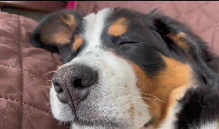 まだまだ赤ちゃん♡