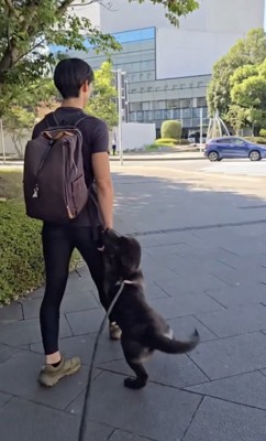 「パパー！！」