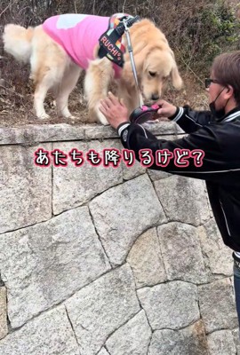 降りられない！