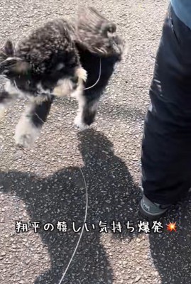 大はしゃぎする姿が可愛い!