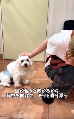 ムックくんにそっと寄り添うスタッフさん