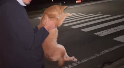 犬を抱き抱えながら警察署へ向かう投稿者たち