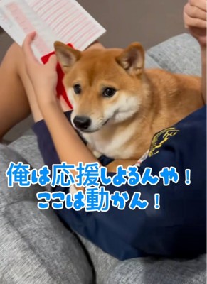 絶対に動かないなぎくん