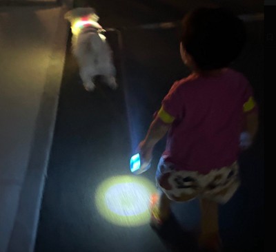 一緒にお散歩へ