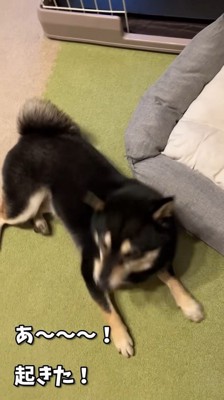 起きてくれたと思ったら…