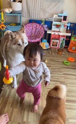 ロッキーくんと赤ちゃんの音楽会6