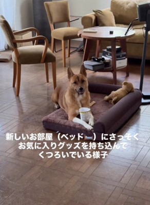 お気に入りをそろえて…