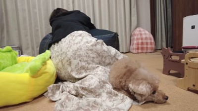 ママに寄り添う虎太郎くん