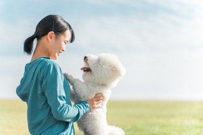 公園で遊ぶ女性と犬
