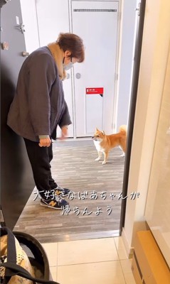 おばあちゃんを帰らせないとらちゃん4