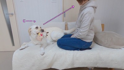 きなこちゃんとママさんの再会4