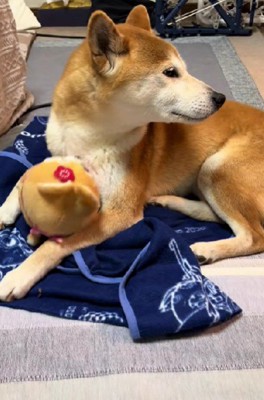 遊びに誘ったら…