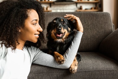 女性とソファでくつろぐ犬