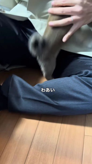 尻尾を振って大歓喜♪