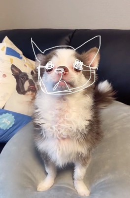 完成したLiaくん