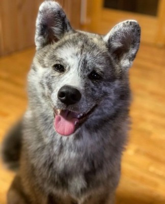 笑顔のあきちゃん