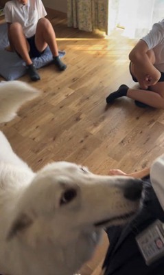 帰宅後のお子さんたちとまる君2