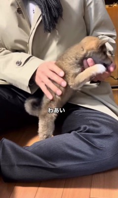 嬉しいお出迎えでした♡