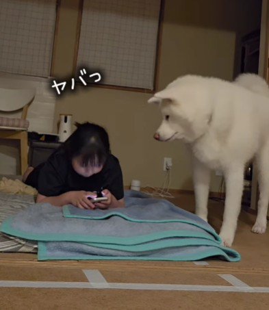 目が合っちゃった!