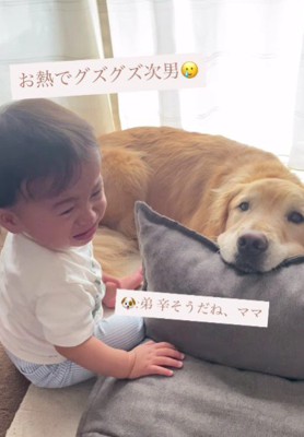 そばに来てくれた