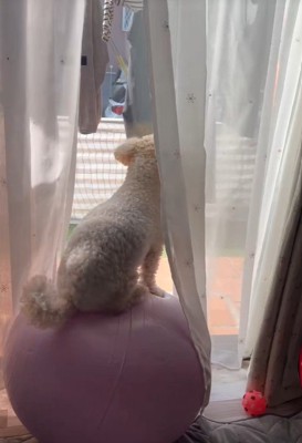 無事に元の体勢に戻りました♪