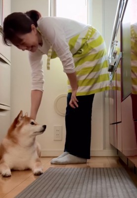 柴犬を撫でるお母さん