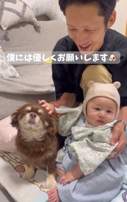 茶太郎くんを撫でる赤ちゃん1