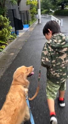 隣に並んで散歩をする犬と男の子