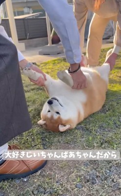 参戦するおじいちゃん