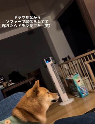 目を離せない…！！