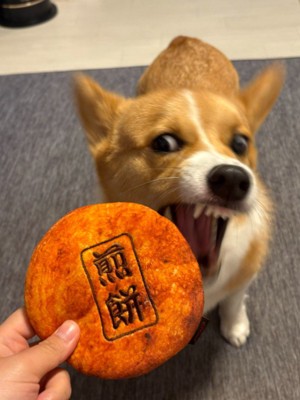 別犬のような凶悪なお顔に！