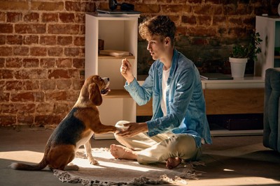 男性と犬