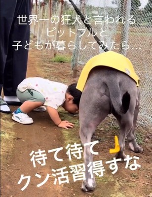 クン活するしおちゃん