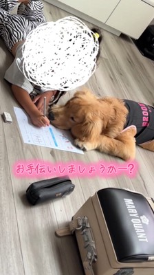 女の子の手に顔を近づける犬