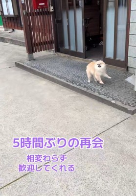 ますお君がお家の前でお出迎え♪