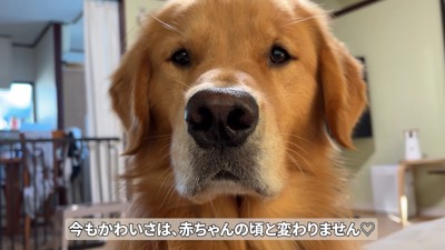 今では圧が強すぎる…!
