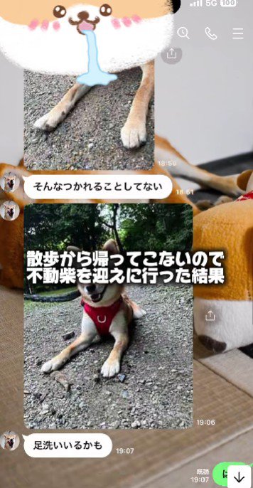 犬が動かない