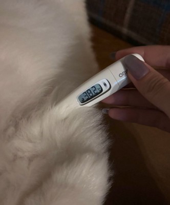 体温計を当てる飼い主さん