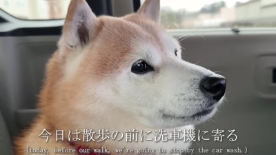 ウキウキした表情で乗車♪