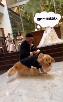 リングドッグに挑戦するジャックくん8