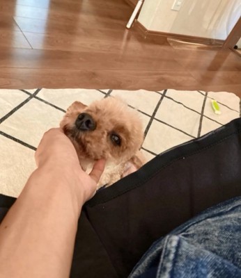 撫でられるイオくん