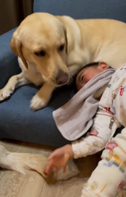 驚く犬と子ども