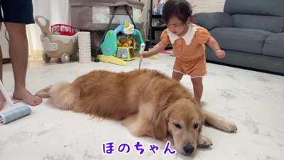 おからちゃんの体にまで！