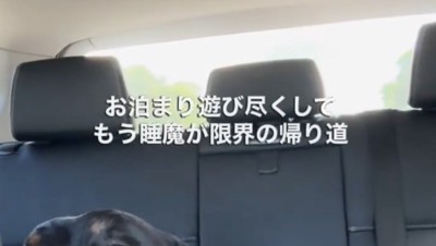 ふと後部座席を見てみると…?
