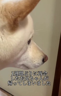 泣き出さんばかり…