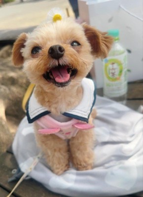 まるで天使のよう…！